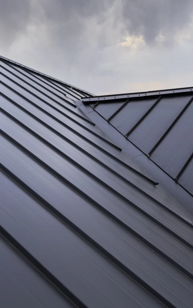 Metal roof against dark sky, creating a stark contrast.