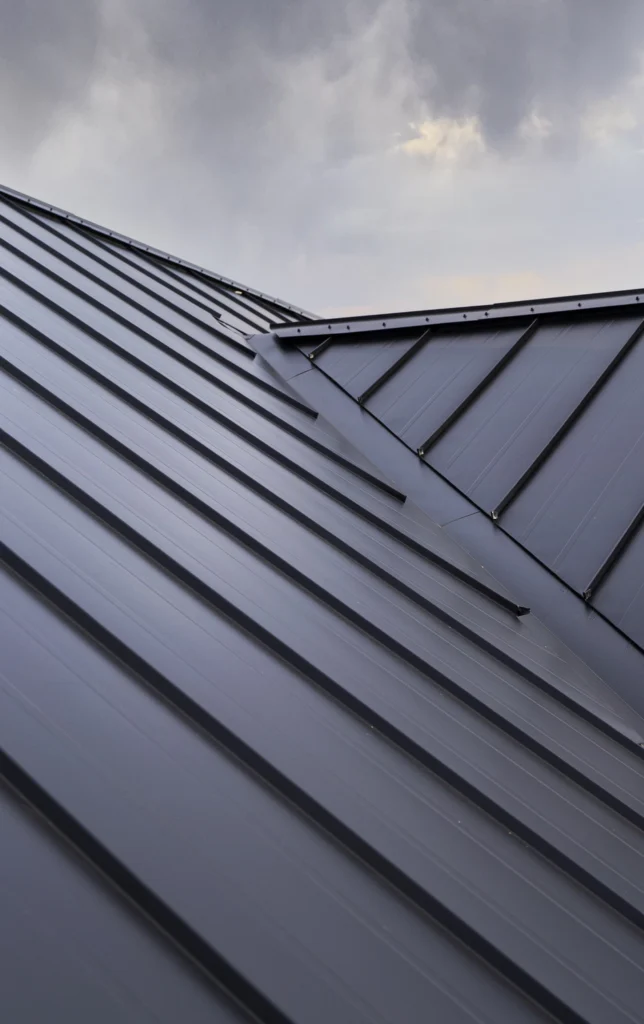 Metal Roofing