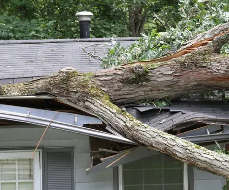 Storm Damage Repair