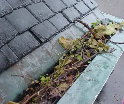 Grey colored roof covered in leaves and sticks, roof gutter filled with debris.